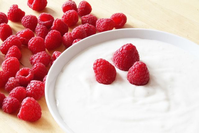  yogurt for acid reflex in dogs 