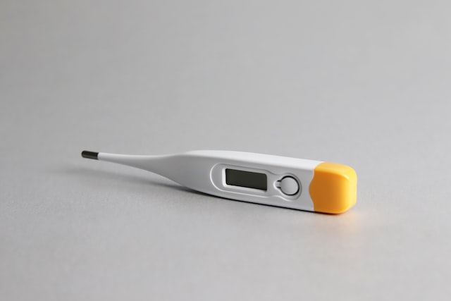 rector digital thermometer