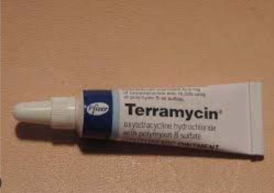 terramycin for puppy swollen eyes