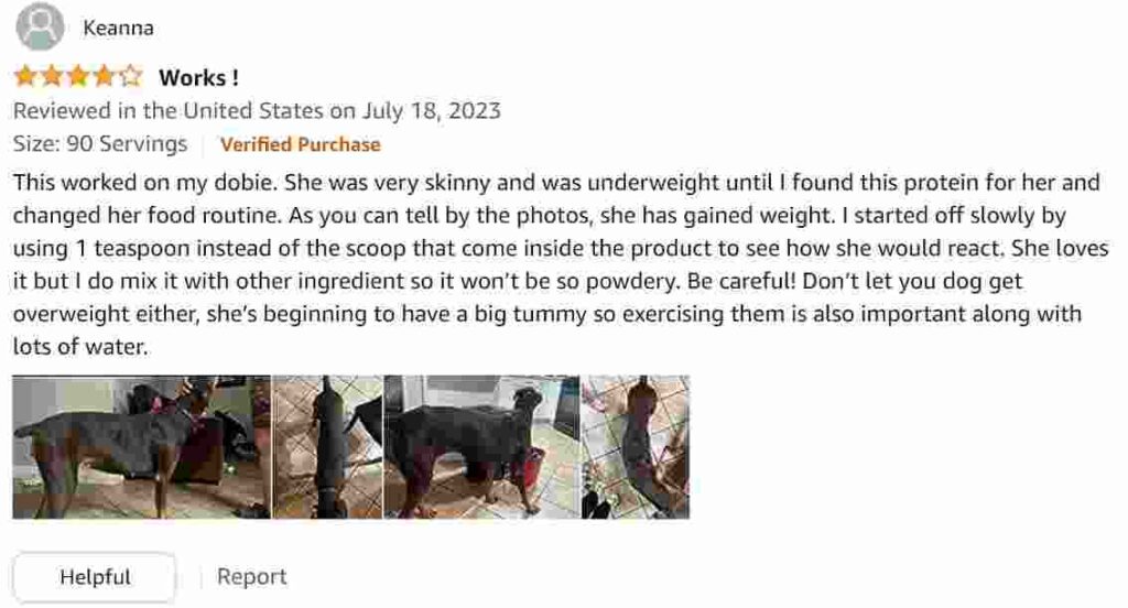 amazon review Pet care sciences weight gain supplement 1