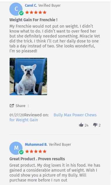 bully max puppy weight gainer review on theirr site