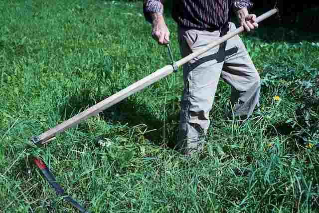 cutting grass to prevent ticks in puppies