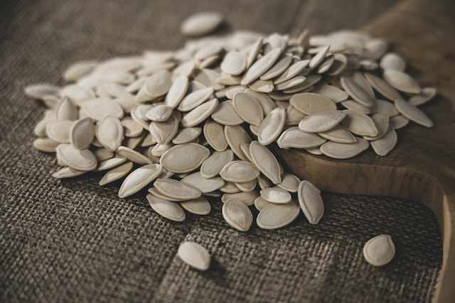 Pumpkin seeds for tapeworm in puppies
