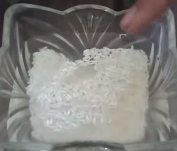 rice water for dogs fur