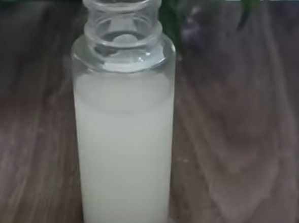 rice water for dogs skin