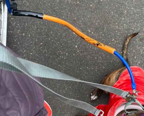 Dog Bike Tow leash