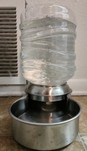 ETNA stainless steel dog water dispenser 