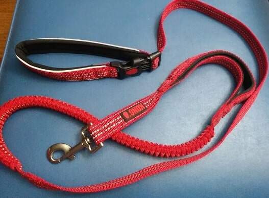 Kong reflective bungee hands-free leash