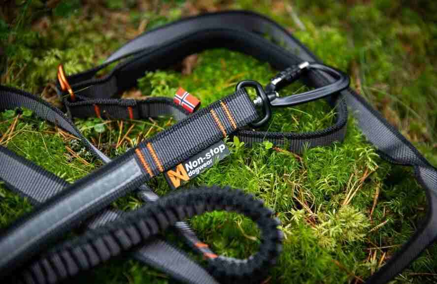 Non-stop Dogwear touring adjustable bungee leash