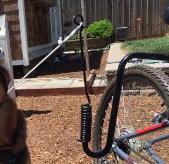 Springer dog leash bike attachment