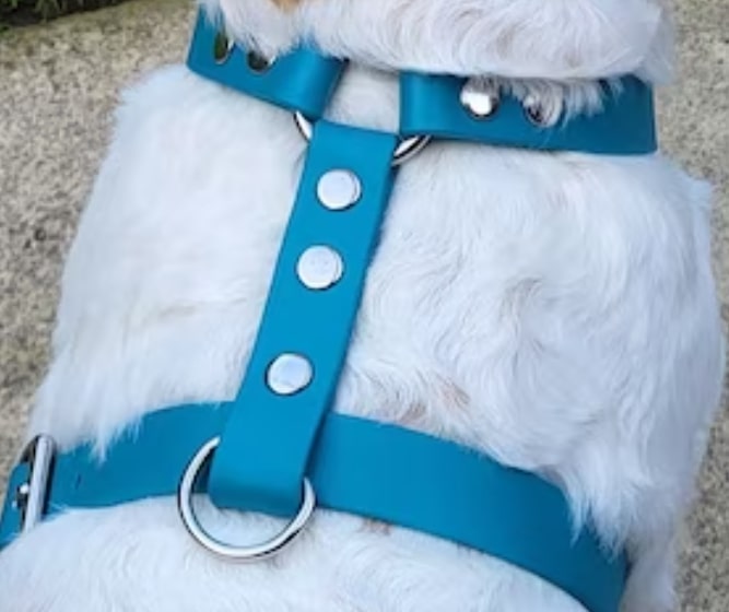 Trinkety Paws waterproof dog harness