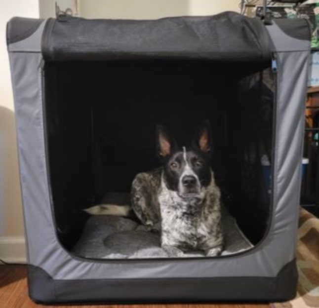 frisco fabric  crates for dogs (1)