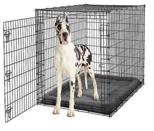 This image has an empty alt attribute; its file name is top-paws-crate-1.jpg